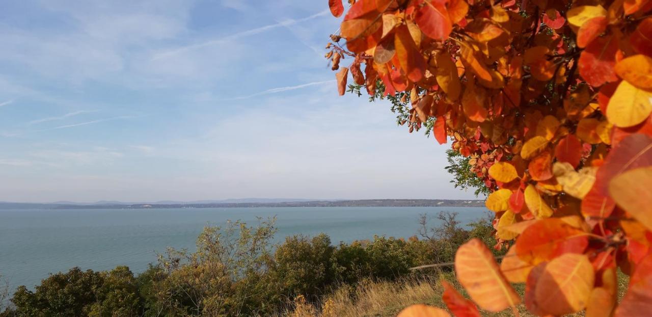 Villa Bori Siófok Esterno foto